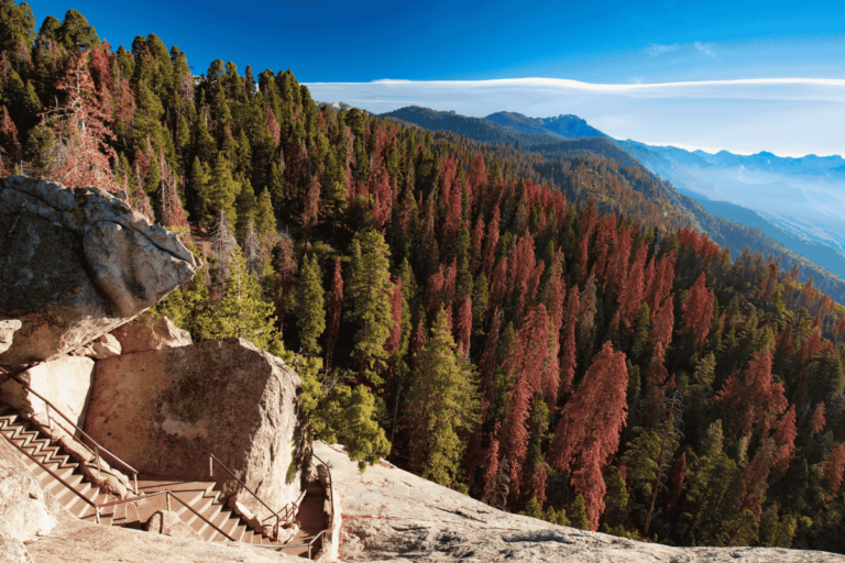 5 best campgrounds in California