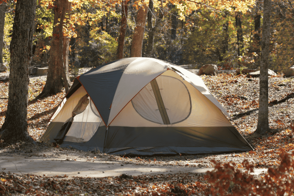 Tent camping in a forest