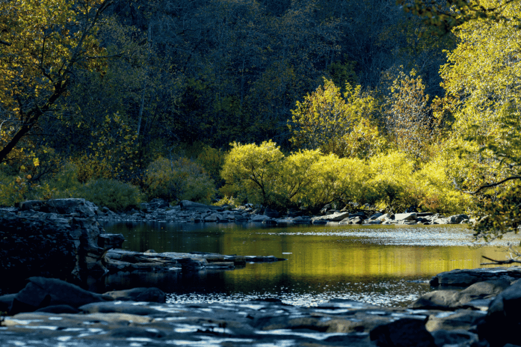 Hot spring national park camping