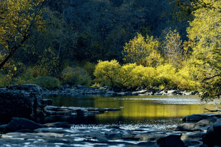 Hot spring national forest, arkansas