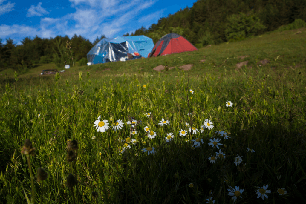 Camping in Spring