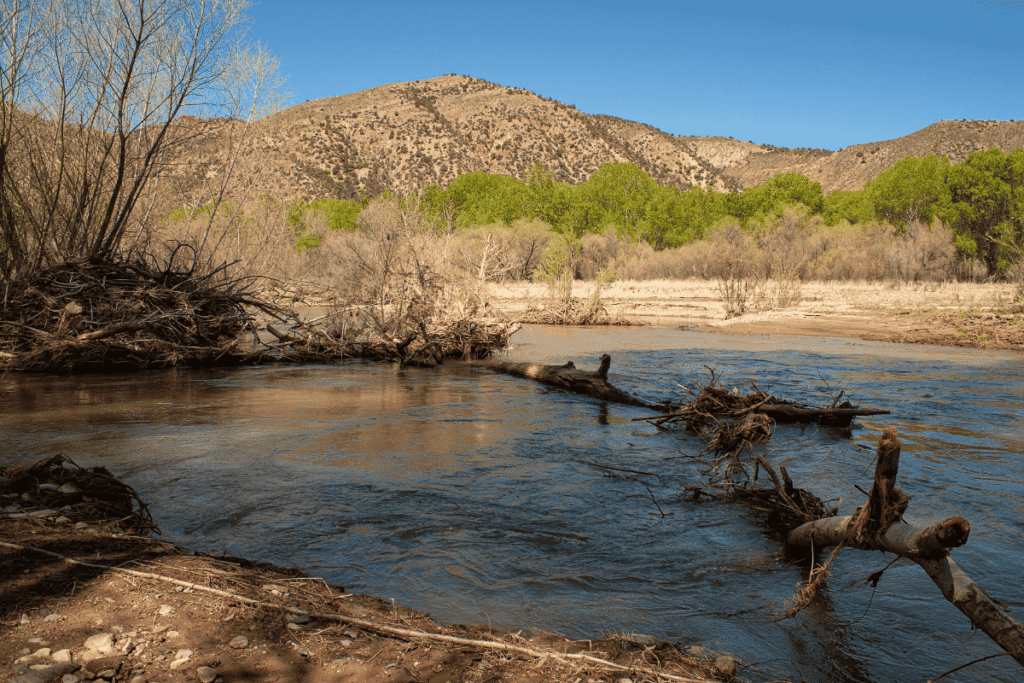 Gila National Forest