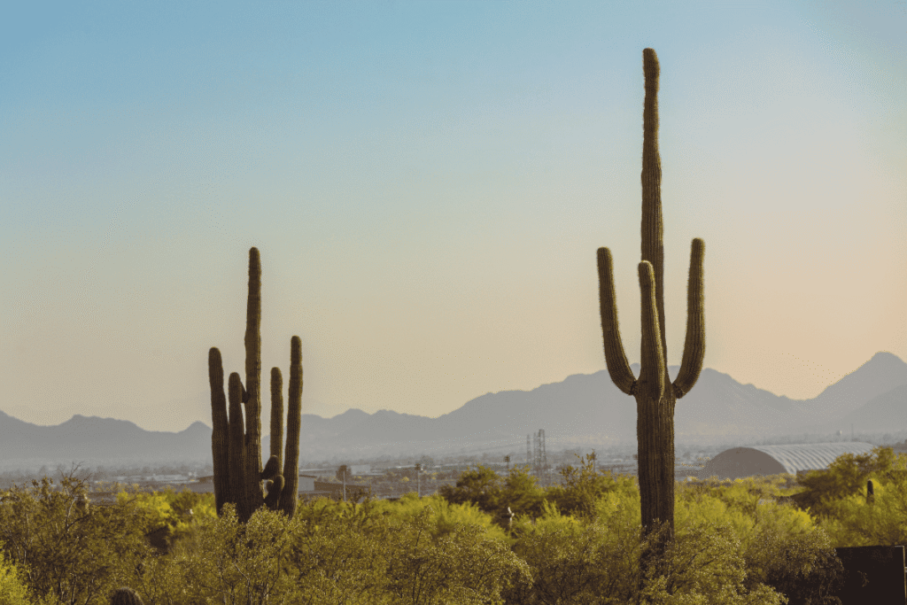 Skyline Region Park, arizona
