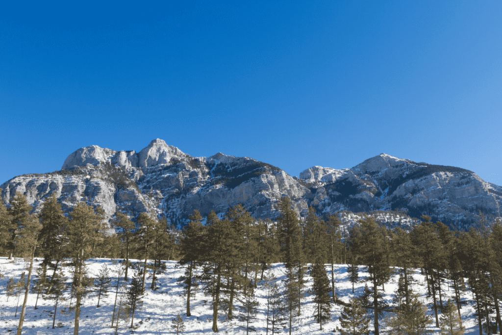 Winter camping in las vegas