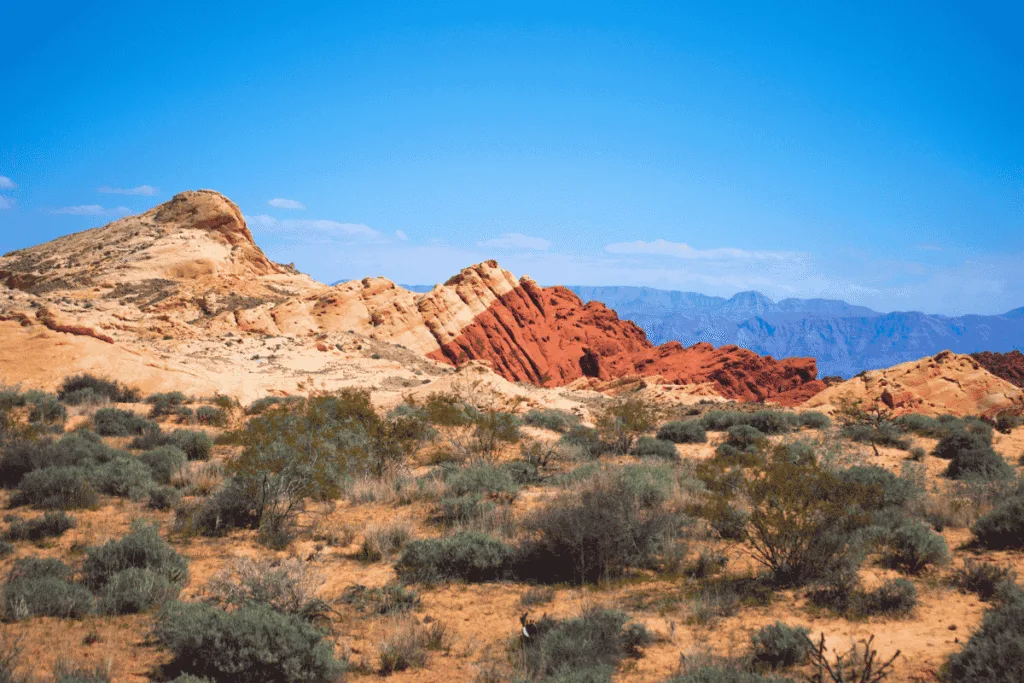 Winter camping in las Vegas